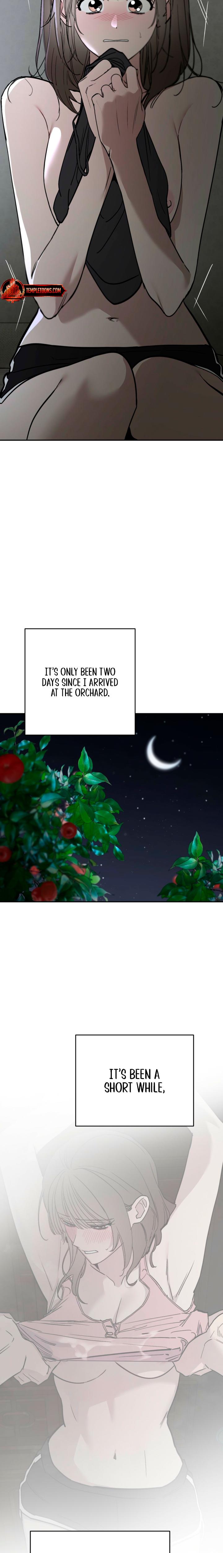 Affairs Of The Orchard chapter 9 page 3