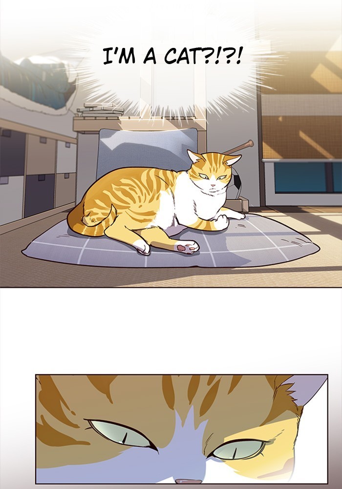 Eleceed chapter 1 page 58