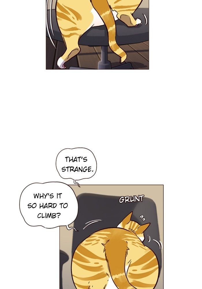 Eleceed chapter 1 page 94