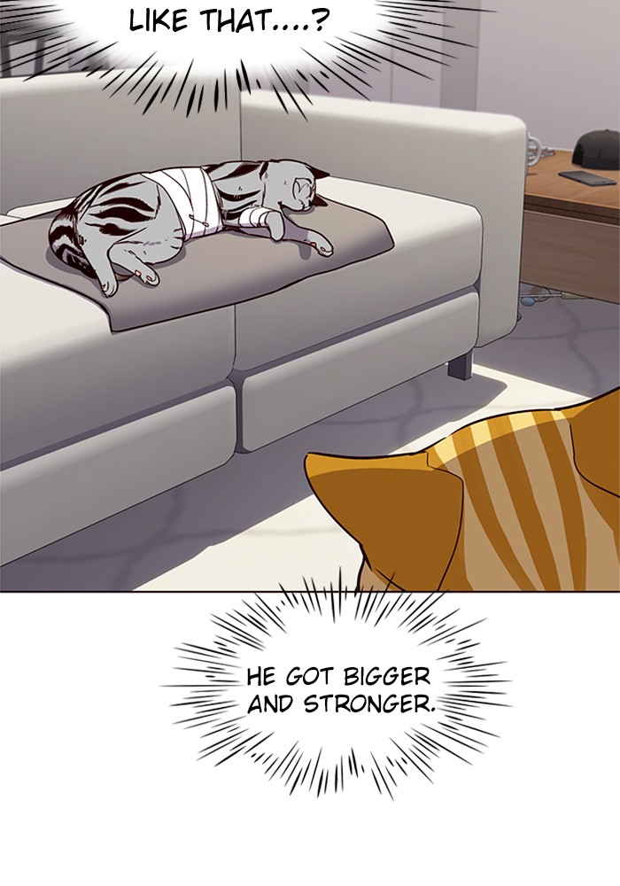 Eleceed chapter 4 page 22