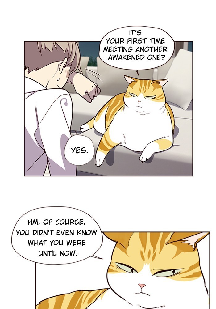 Eleceed chapter 4 page 47
