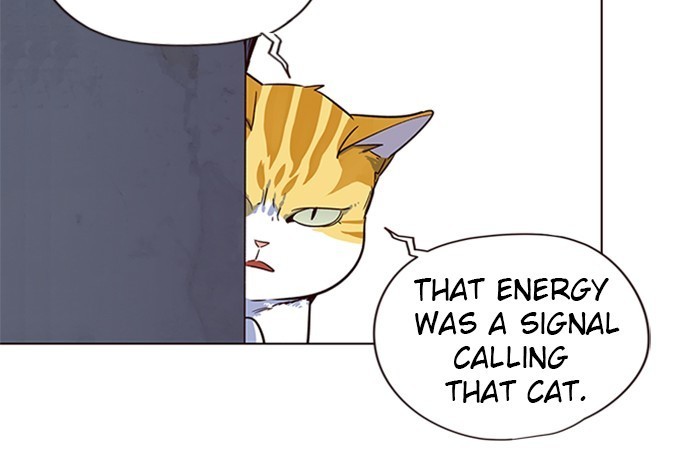Eleceed chapter 5 page 48
