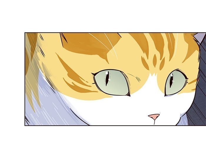 Eleceed chapter 5 page 133