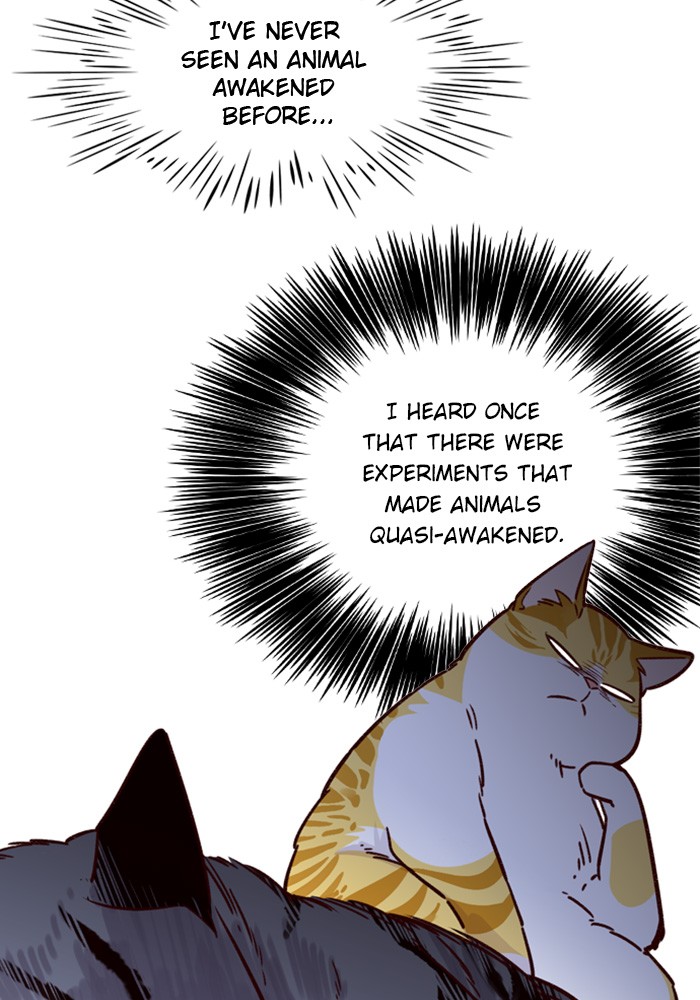 Eleceed chapter 6 page 11