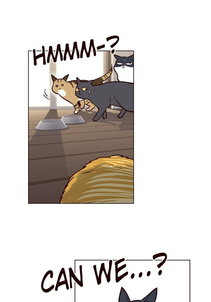 Eleceed chapter 6 page 72