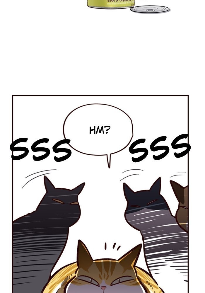 Eleceed chapter 6 page 81