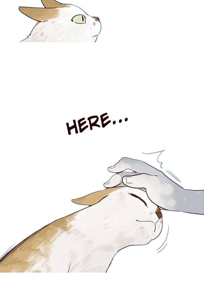 Eleceed chapter 7 page 23