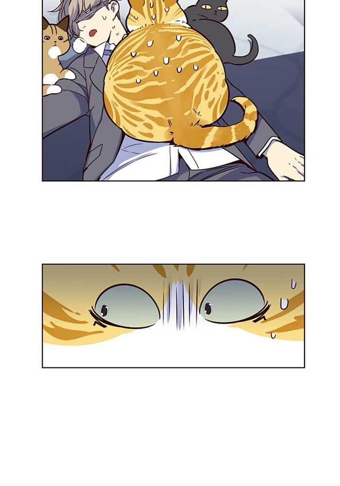 Eleceed chapter 8 page 48
