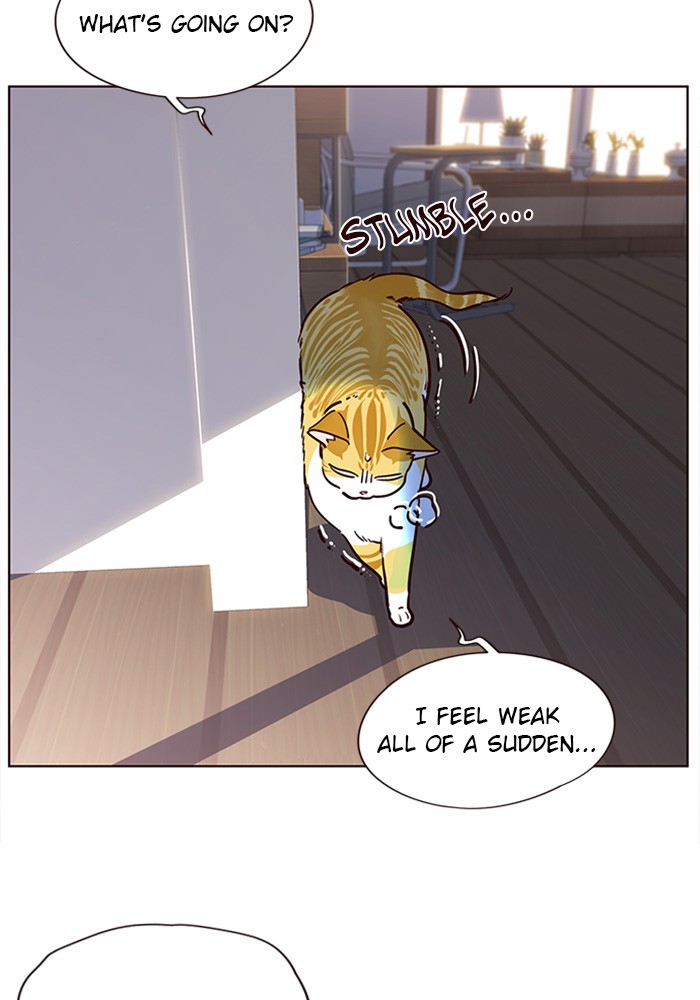 Eleceed chapter 11 page 26
