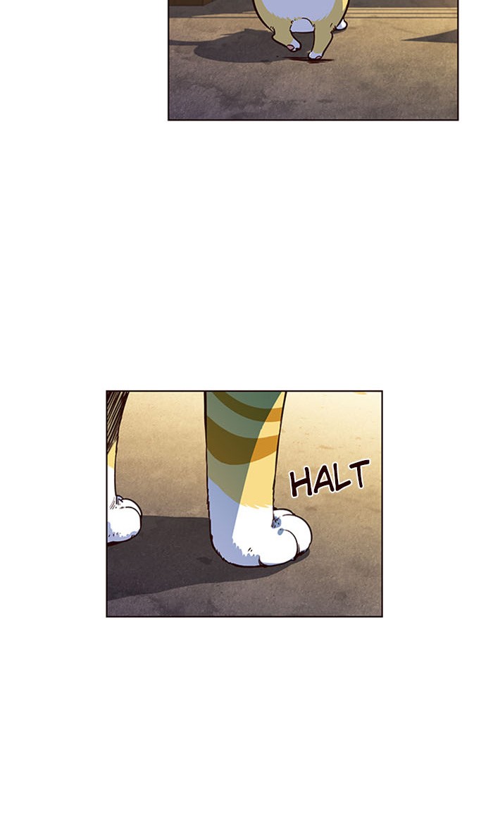 Eleceed chapter 13 page 5