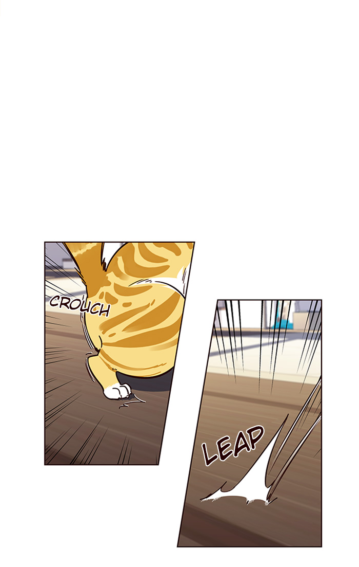 Eleceed chapter 16 page 28