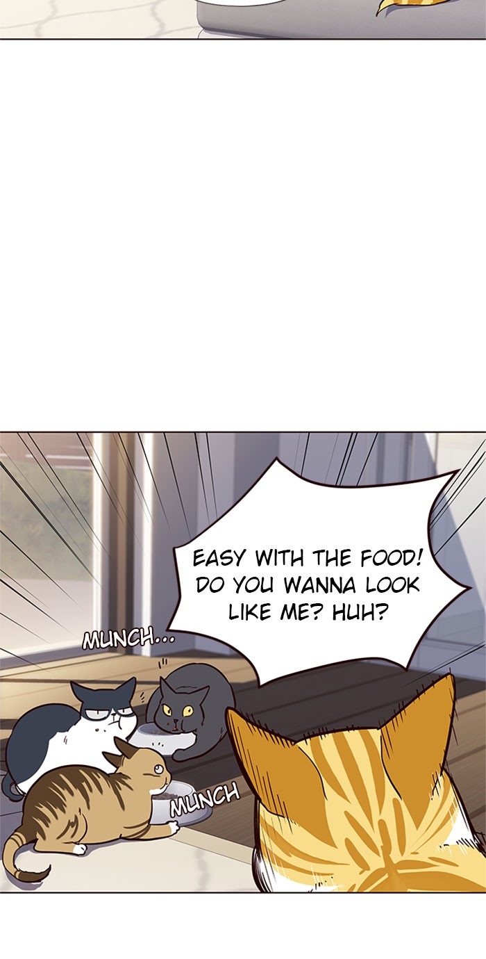 Eleceed chapter 17 page 43