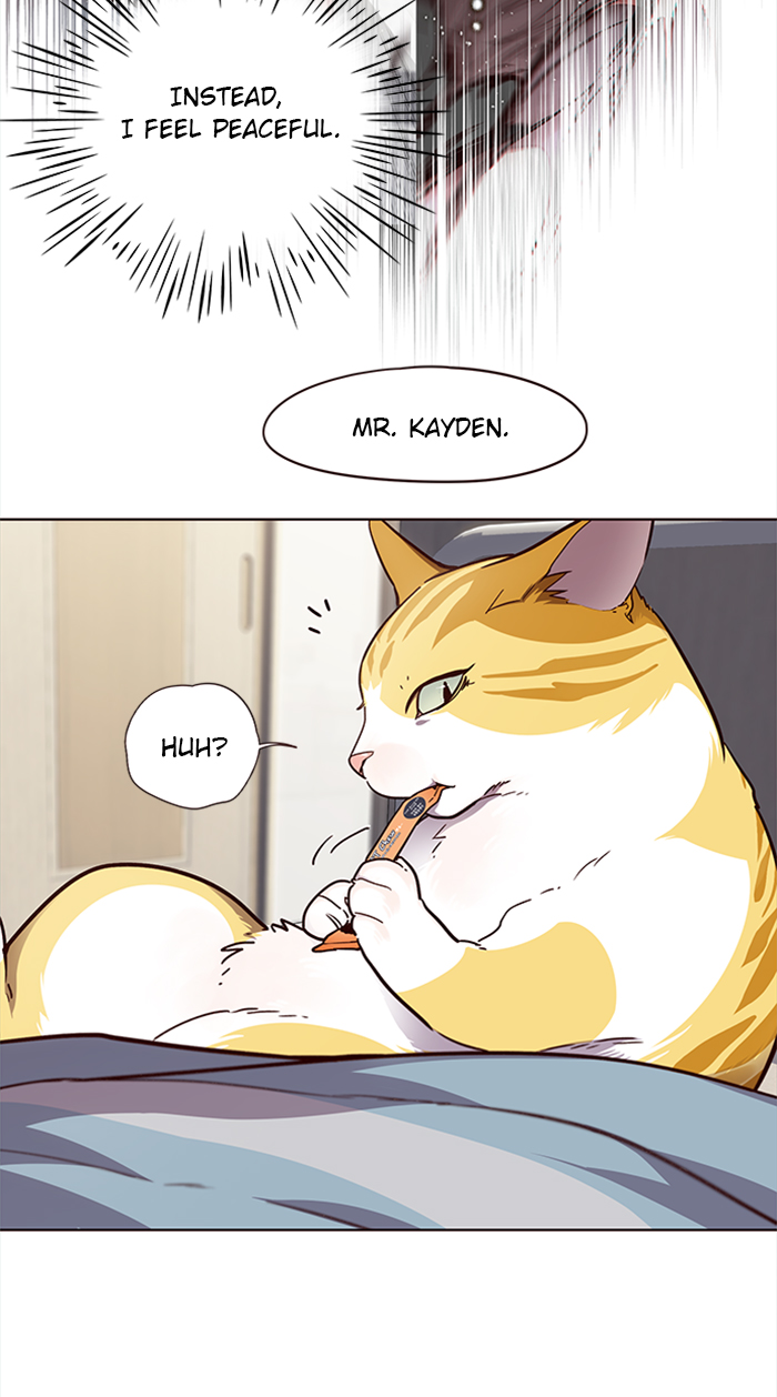 Eleceed chapter 28 page 13
