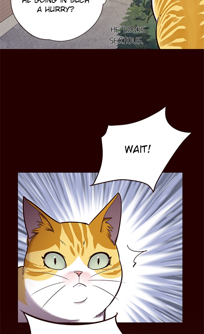Eleceed chapter 52 page 40