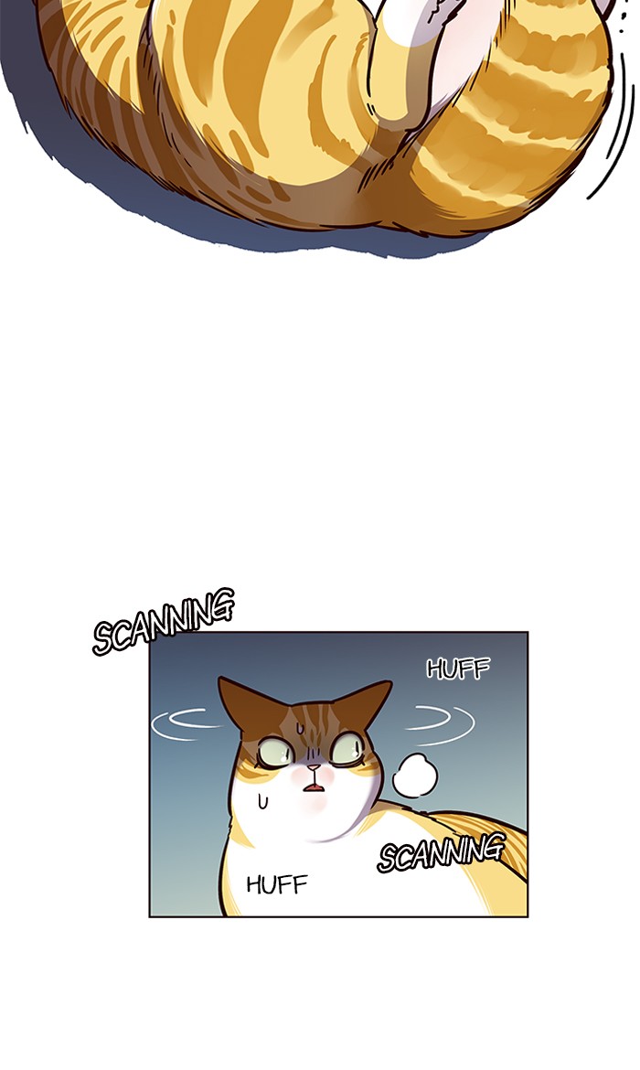 Eleceed chapter 56 page 15