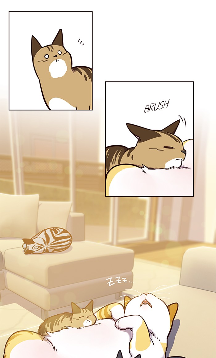 Eleceed chapter 56 page 21