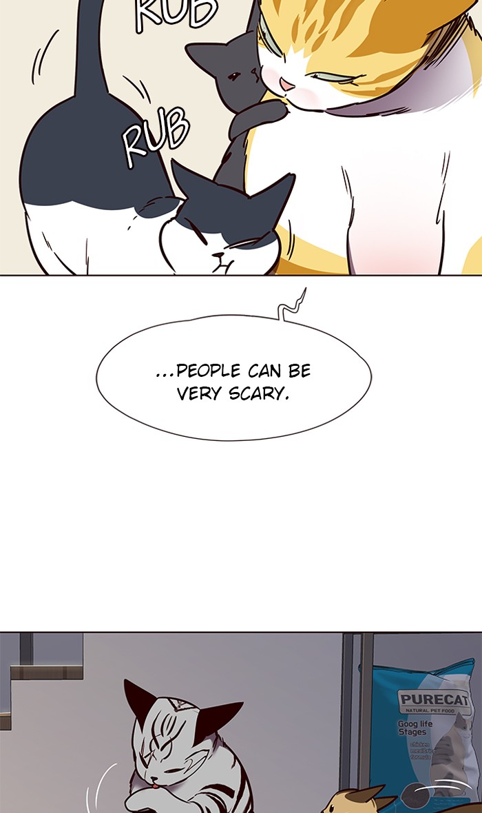Eleceed chapter 58 page 41