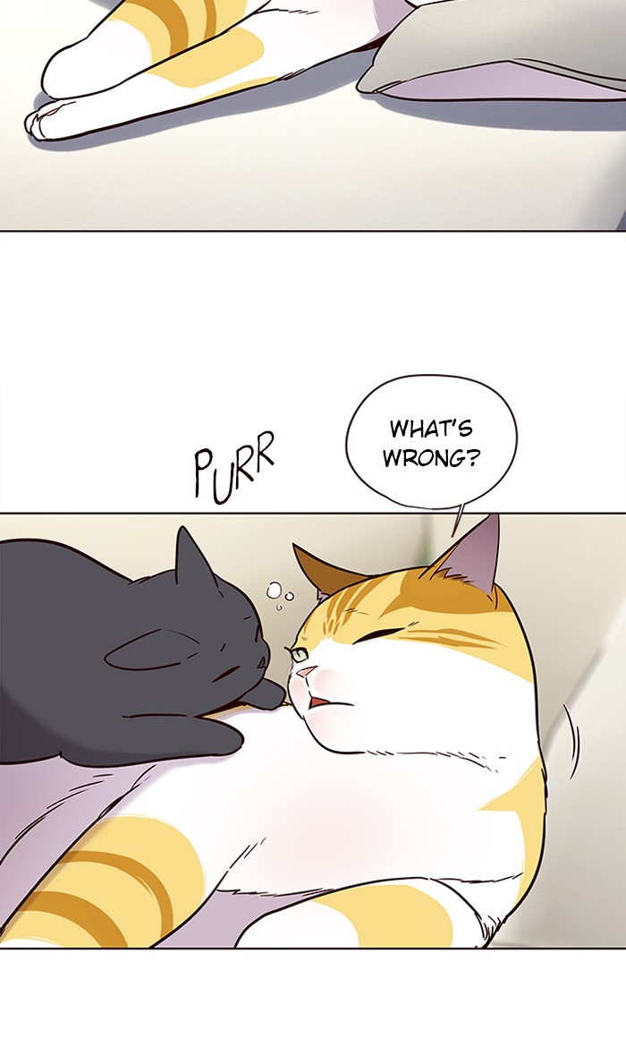Eleceed chapter 101 page 3