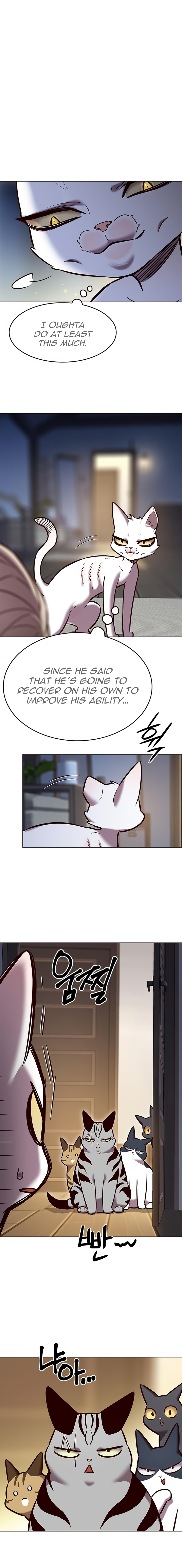 Eleceed chapter 262 page 15