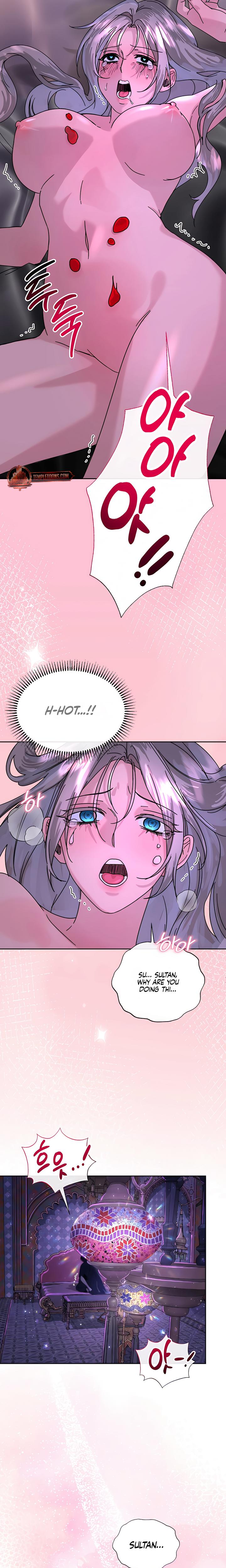 I Became The Sultan's Spoils chapter 5 page 19