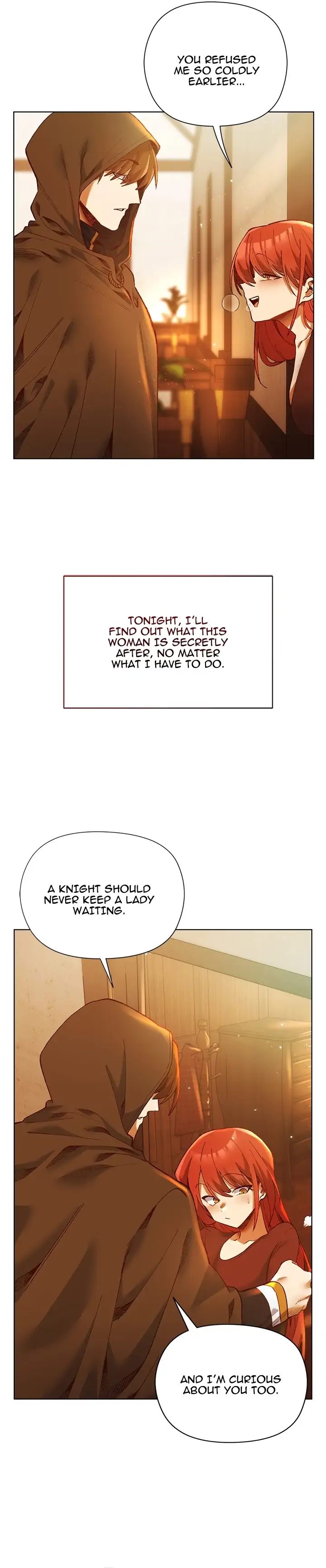 I Will Protect The Lady chapter 0 page 24