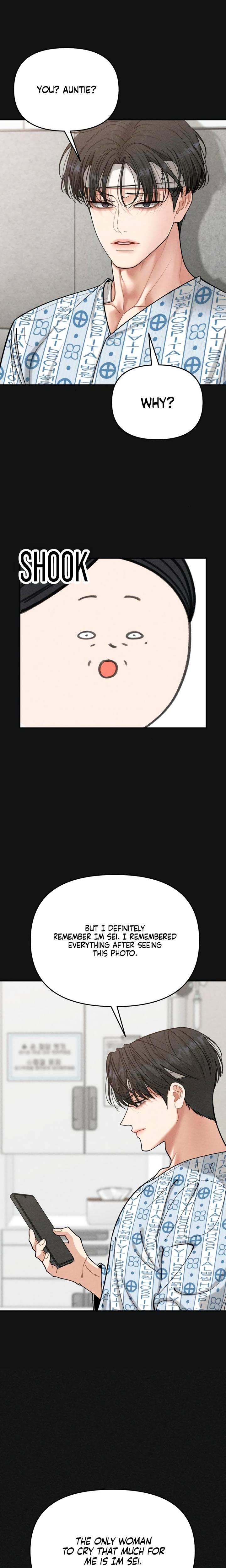 Observing My Mother's Friend's Son chapter 9 page 12