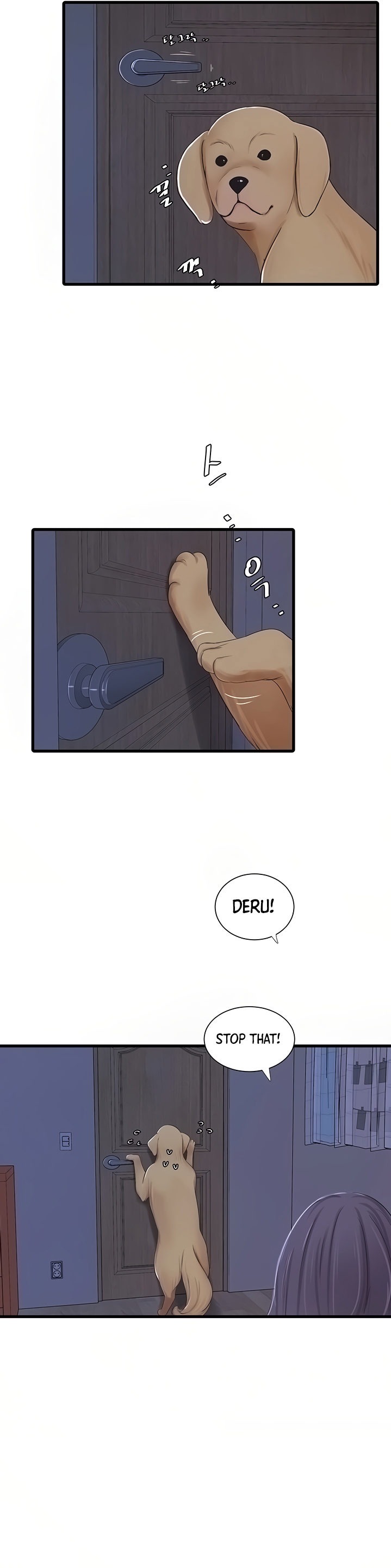 Ones In Laws Virgins chapter 62 page 12