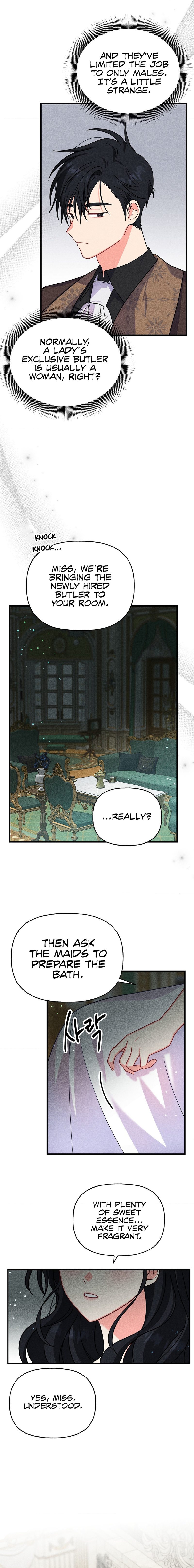 Secret Education With My Lady chapter 1 page 12