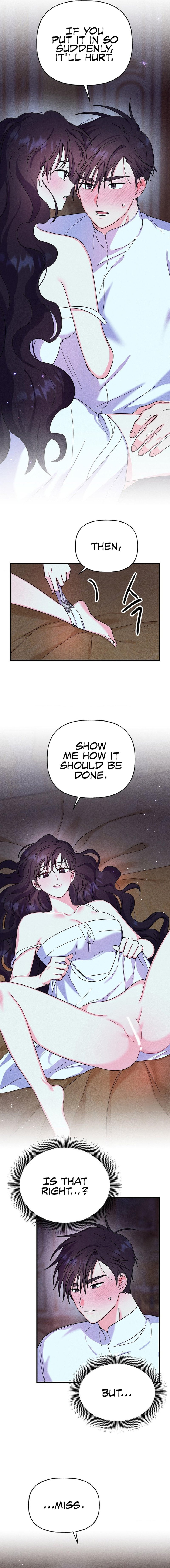 Secret Education With My Lady chapter 6 page 6