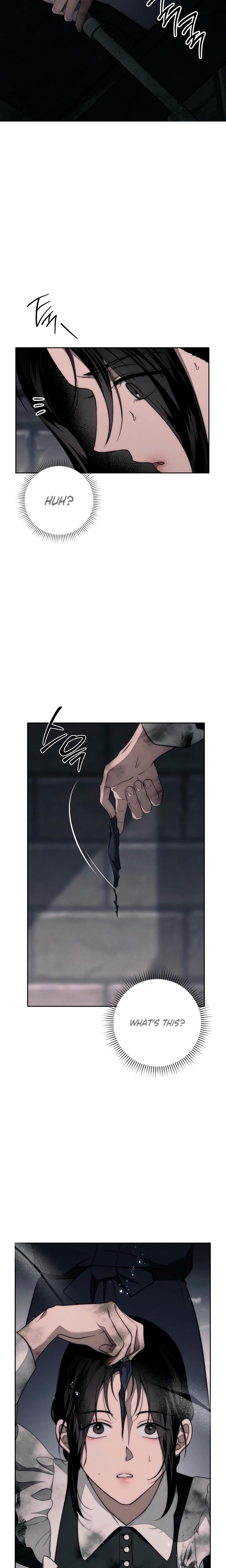 Swan's Grave chapter 9 page 4