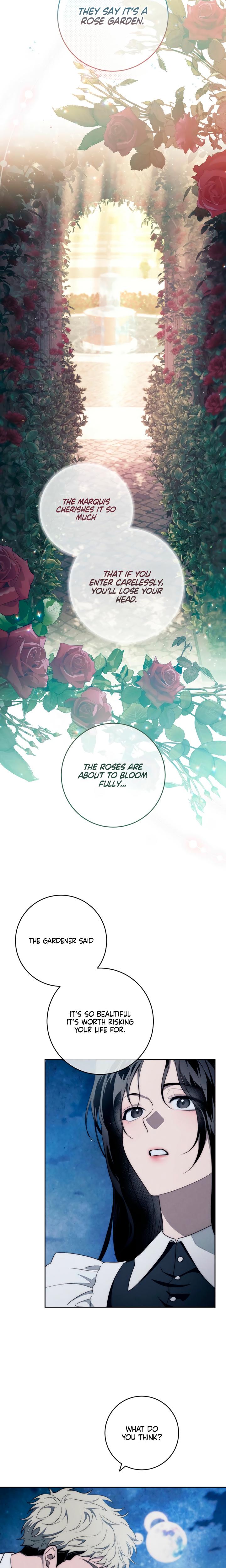 Swan's Grave chapter 12 page 19