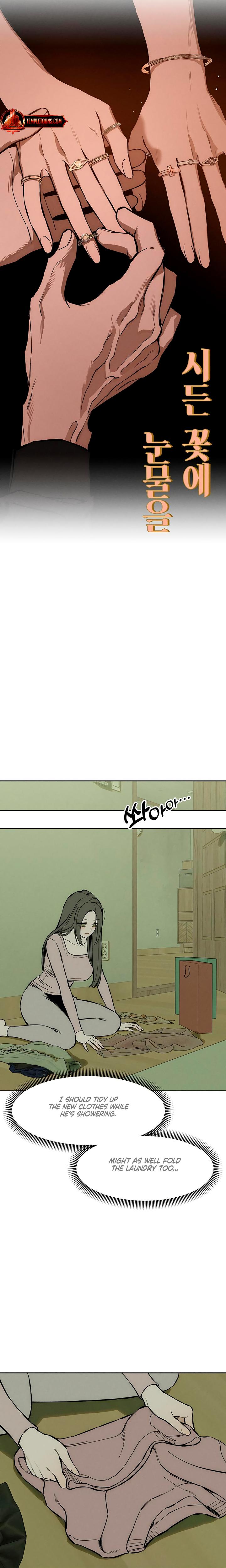 Tears On A Withered Flowers chapter 47 page 17