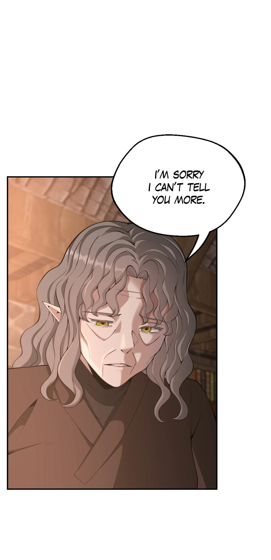 The Beginning After The End chapter 132 page 29