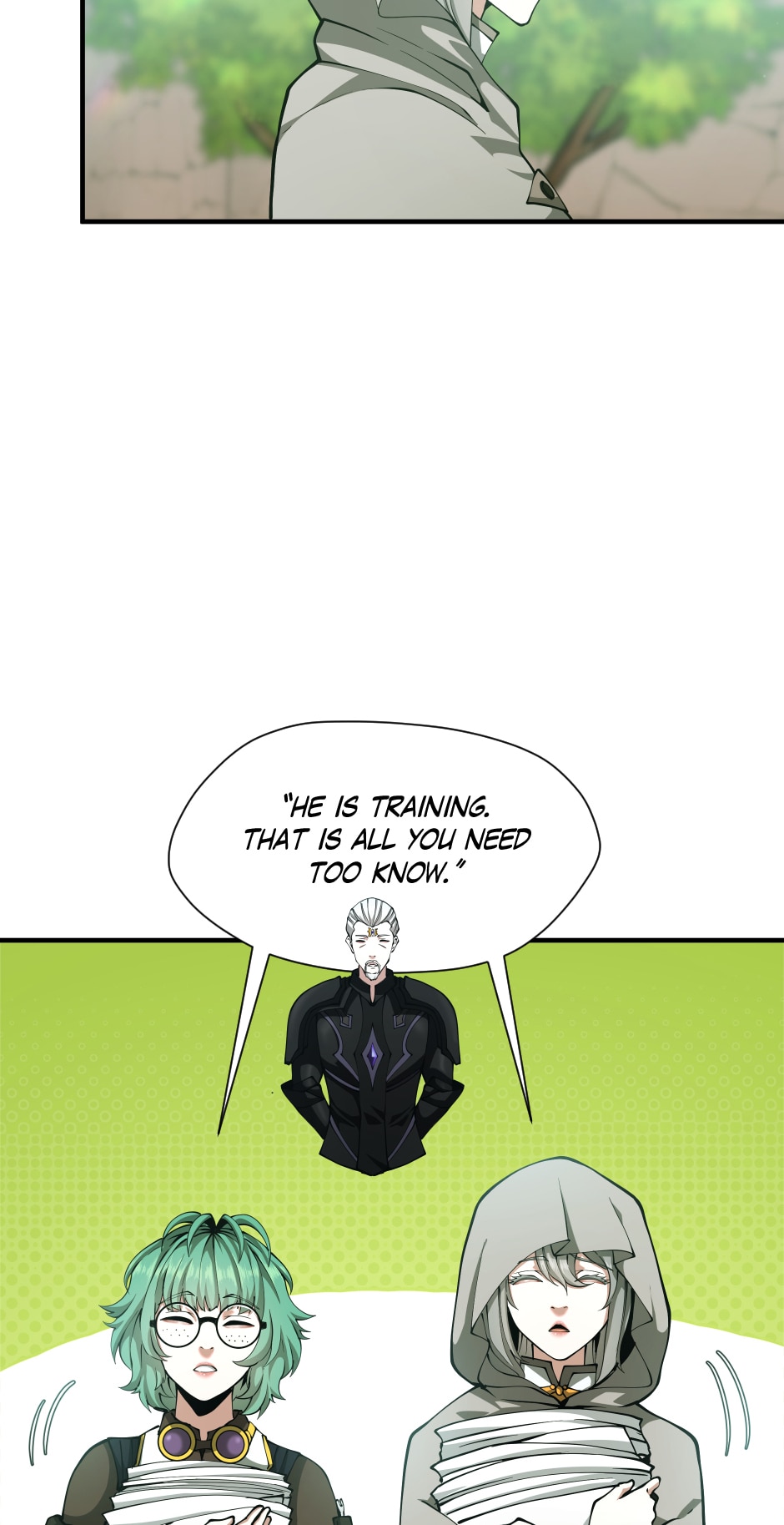 The Beginning After The End chapter 165 page 17