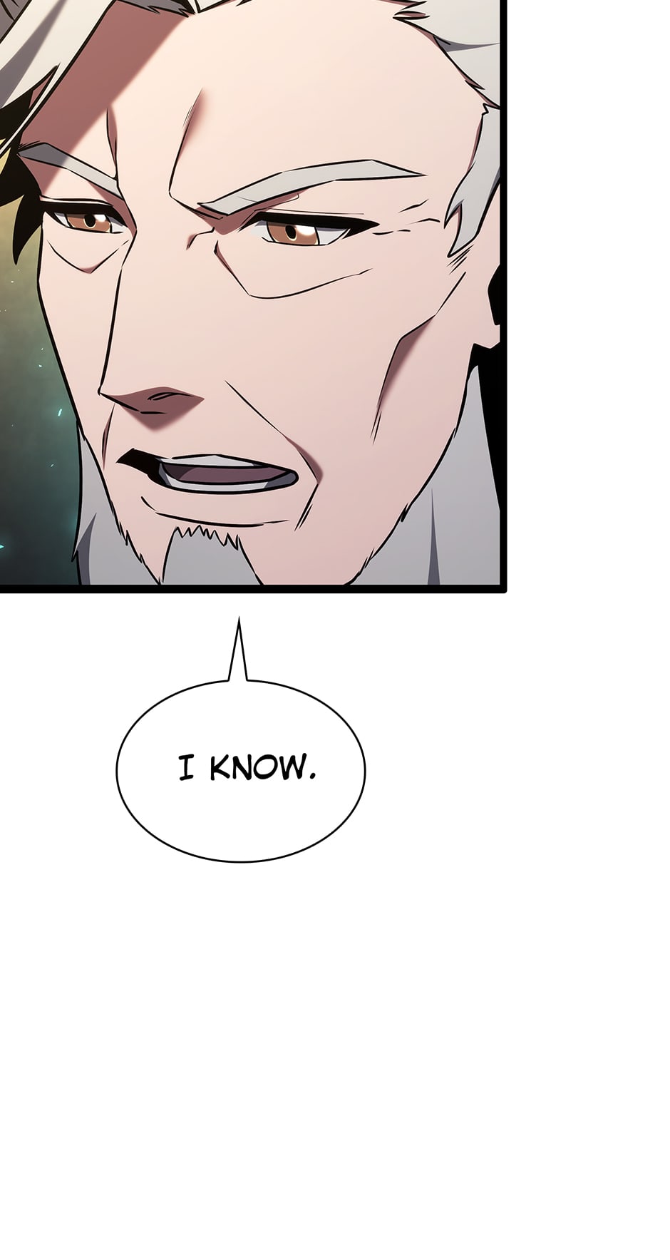 The Beginning After The End chapter 178 page 128