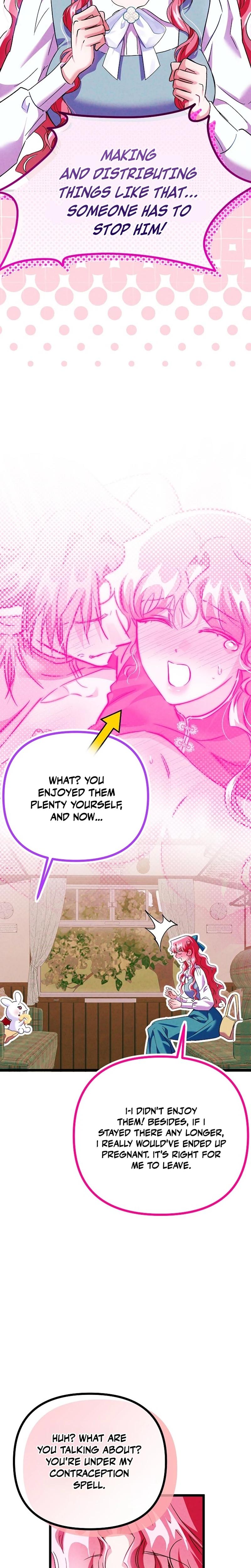 The Maid Is Too Much chapter 17 page 17