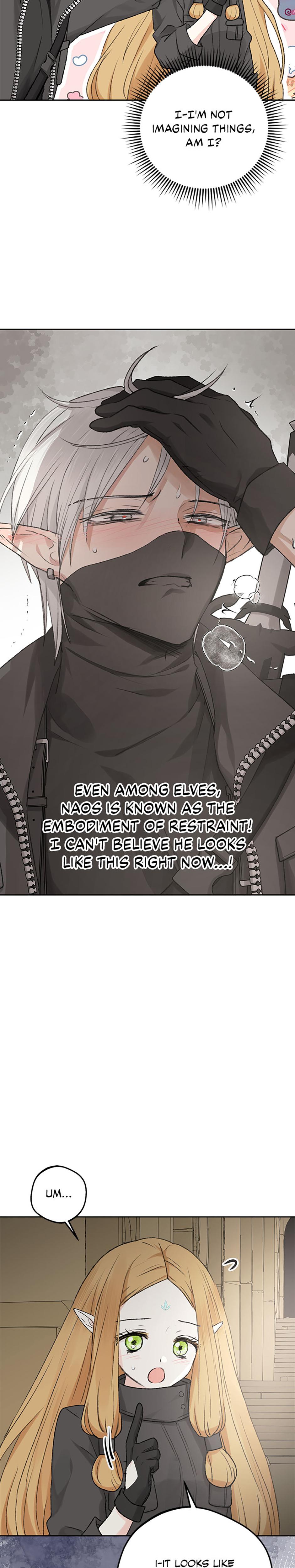 The Mating Of Elves chapter 1 page 5