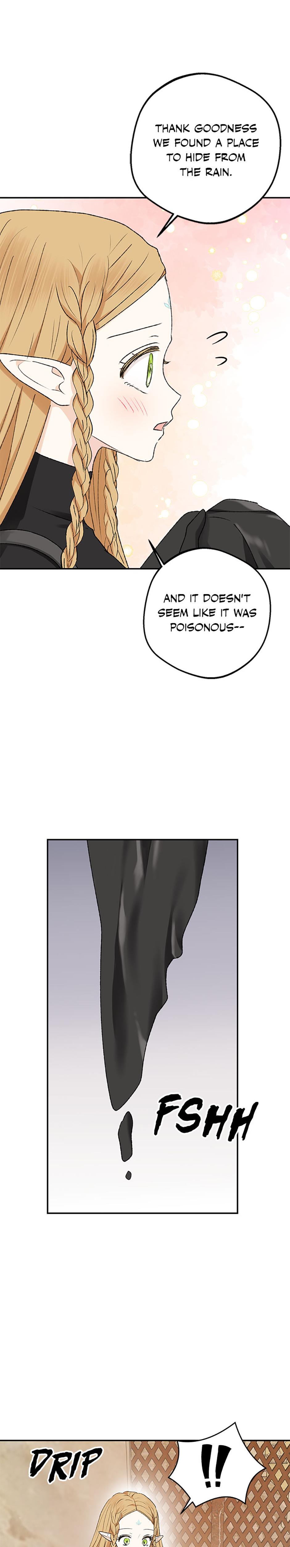 The Mating Of Elves chapter 5 page 25