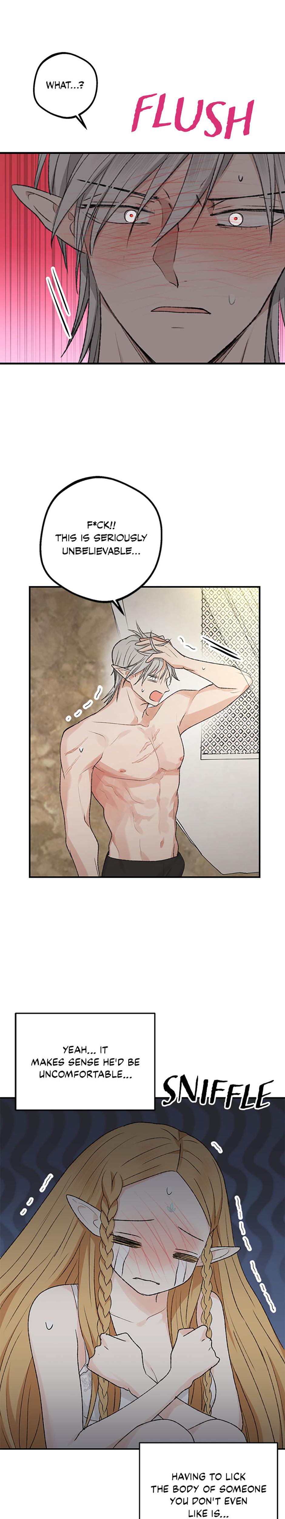 The Mating Of Elves chapter 6 page 11