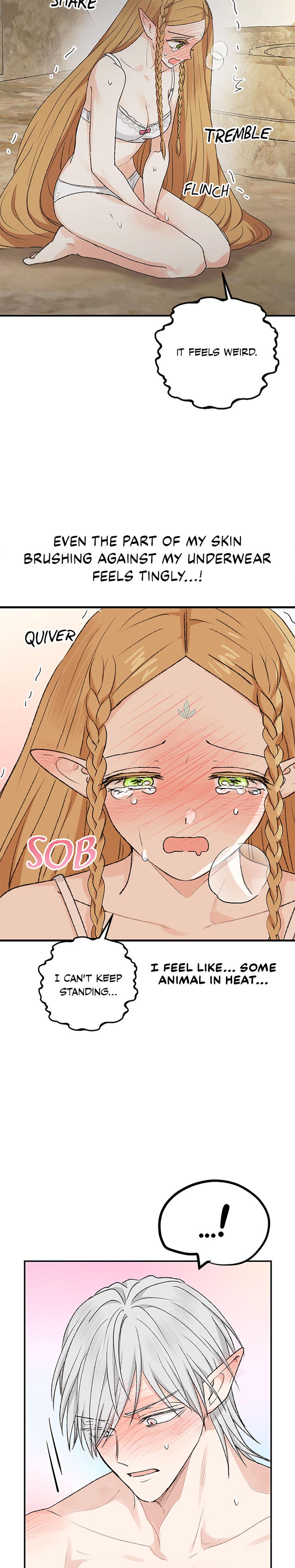 The Mating Of Elves chapter 6 page 15