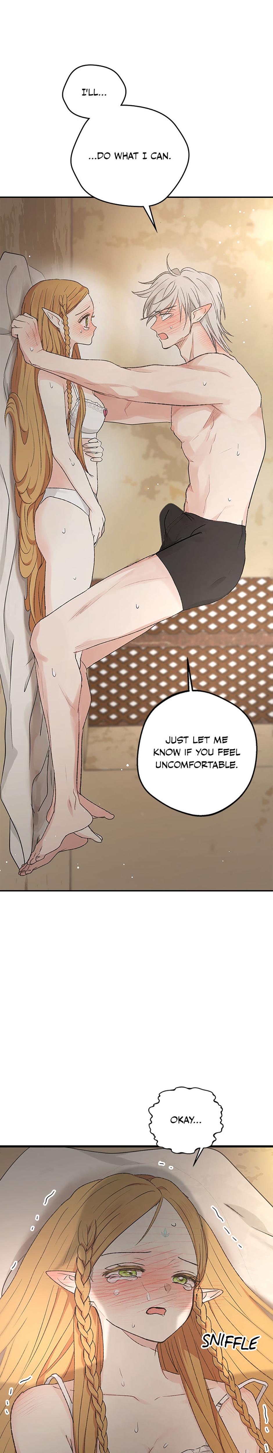 The Mating Of Elves chapter 6 page 25
