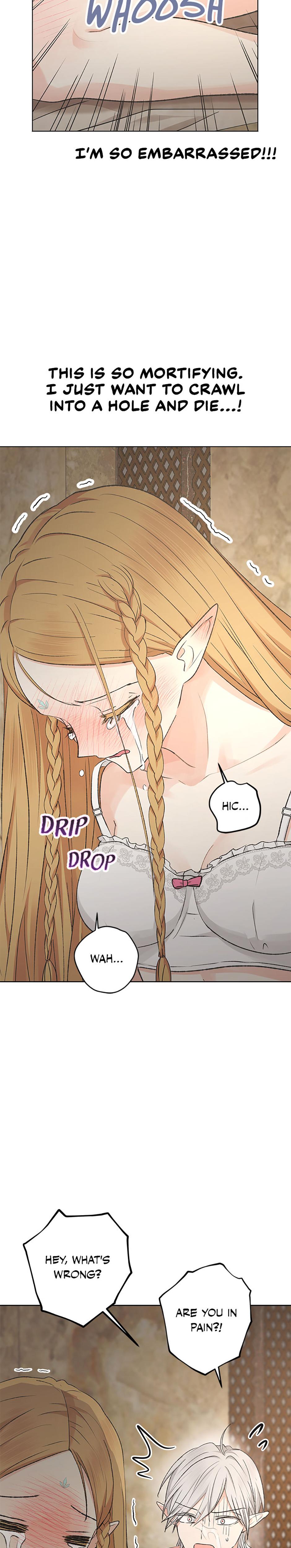 The Mating Of Elves chapter 8 page 4