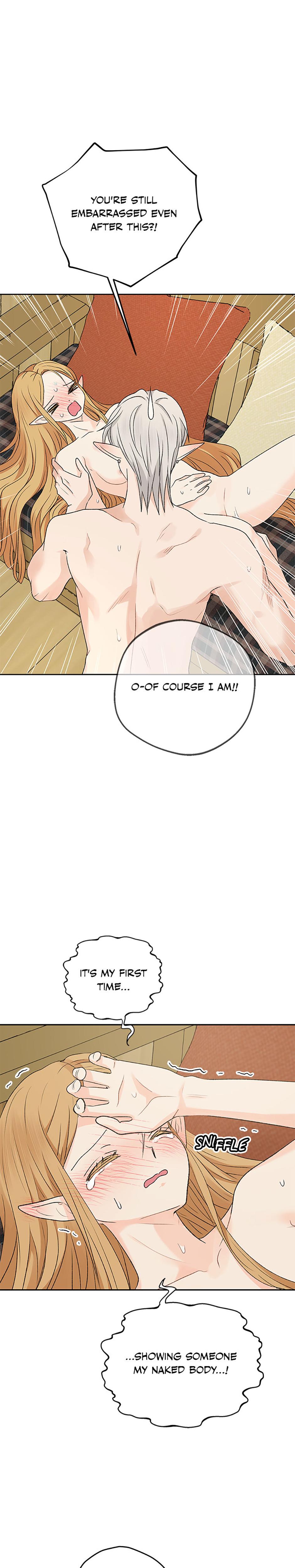 The Mating Of Elves chapter 12 page 4