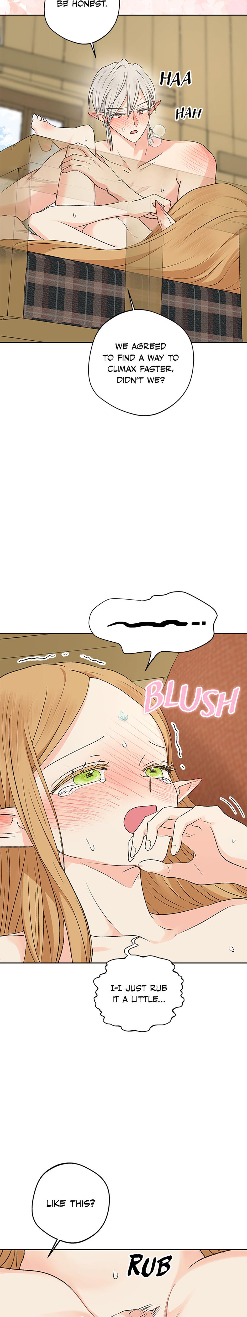 The Mating Of Elves chapter 12 page 11