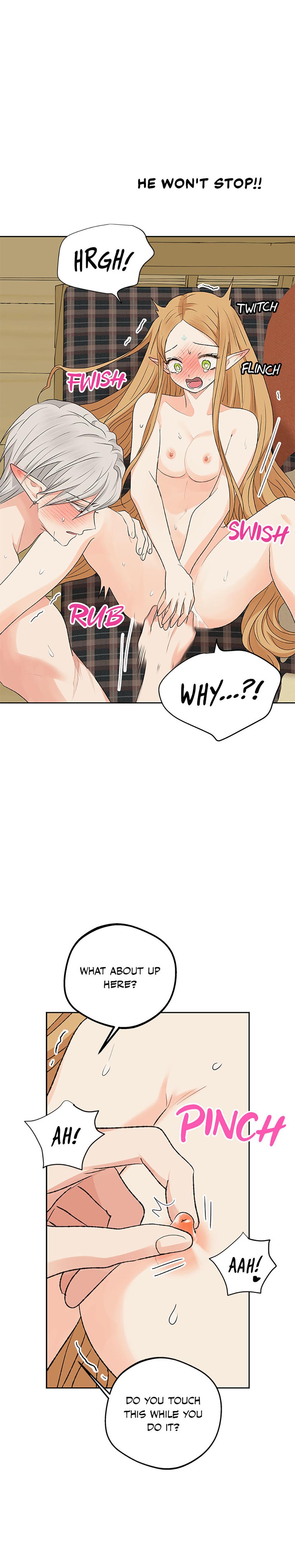 The Mating Of Elves chapter 12 page 13