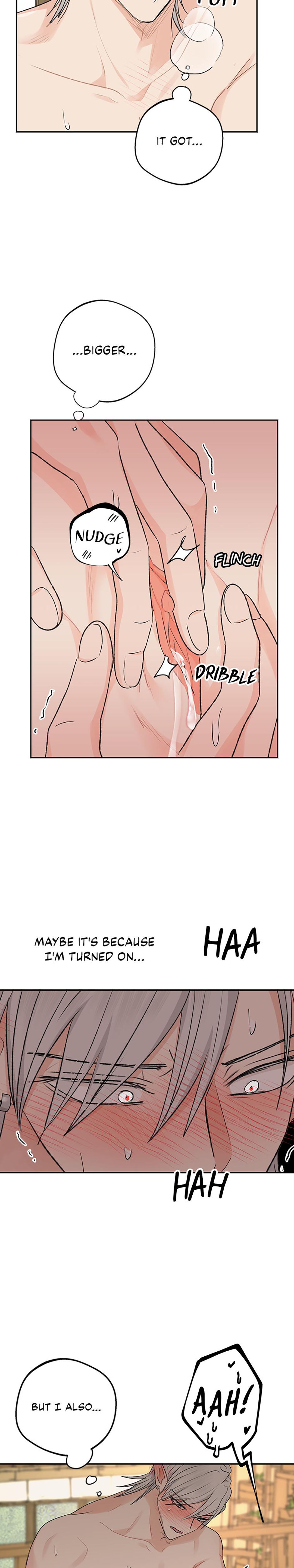The Mating Of Elves chapter 12 page 17