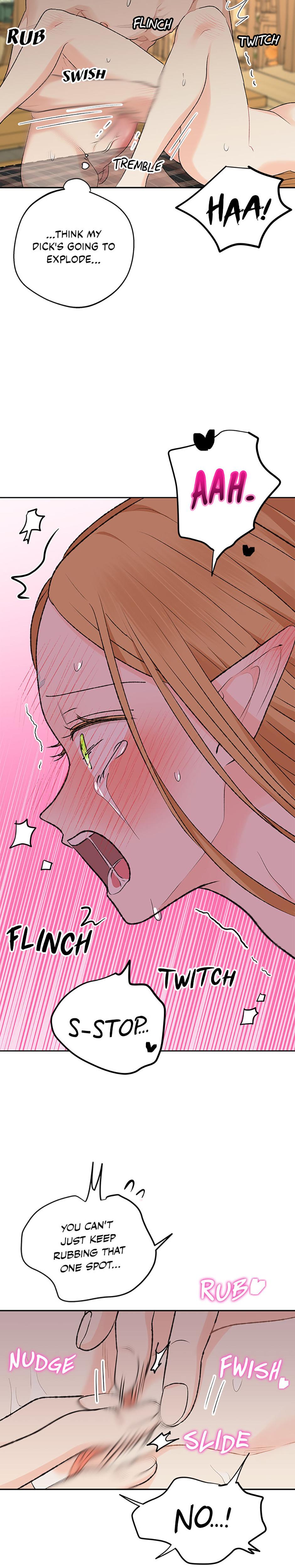 The Mating Of Elves chapter 12 page 18