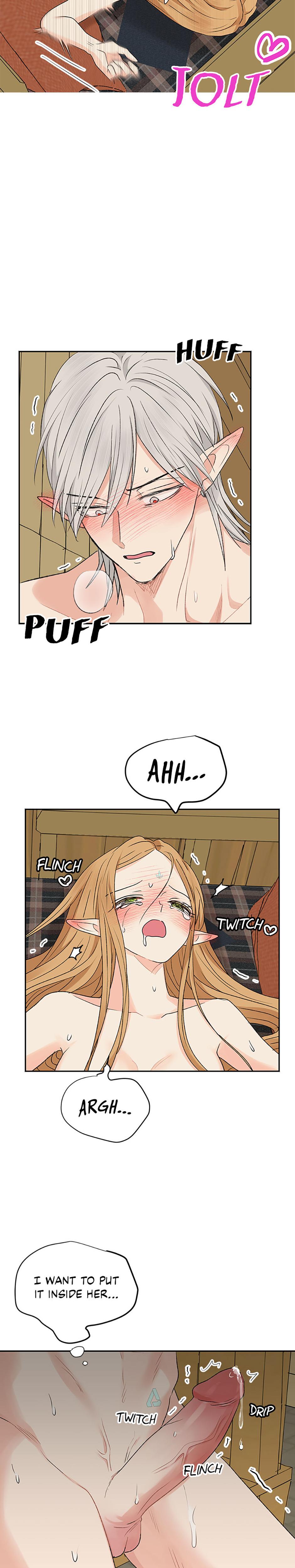 The Mating Of Elves chapter 12 page 20