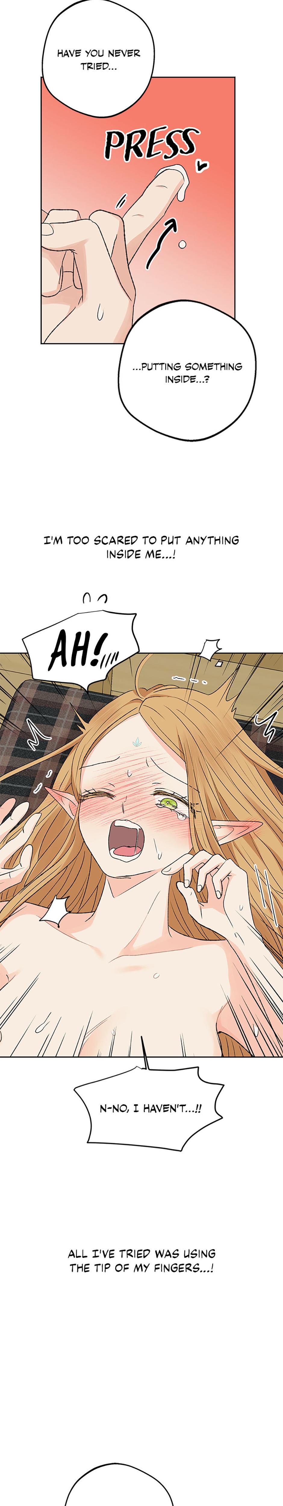 The Mating Of Elves chapter 12 page 23