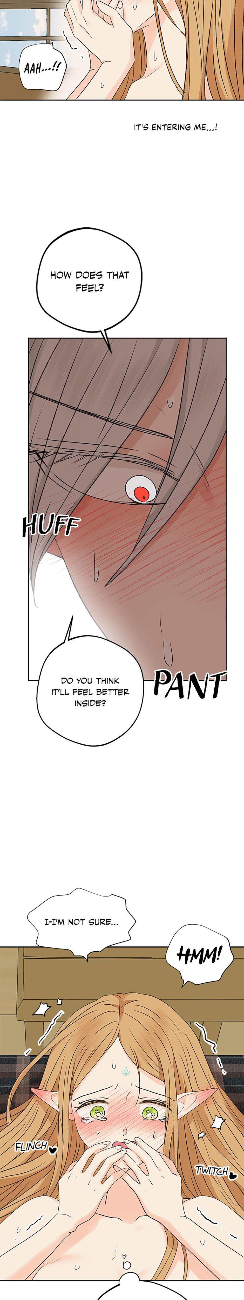 The Mating Of Elves chapter 12 page 25